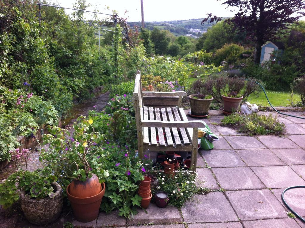 Vine Cottage Penpillick Buitenkant foto
