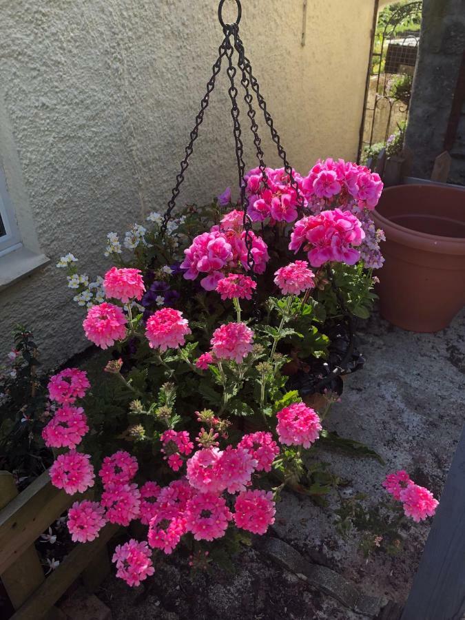 Vine Cottage Penpillick Buitenkant foto