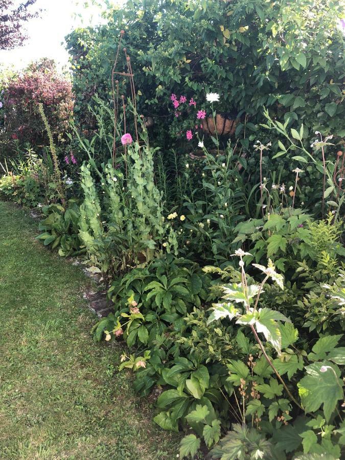 Vine Cottage Penpillick Buitenkant foto